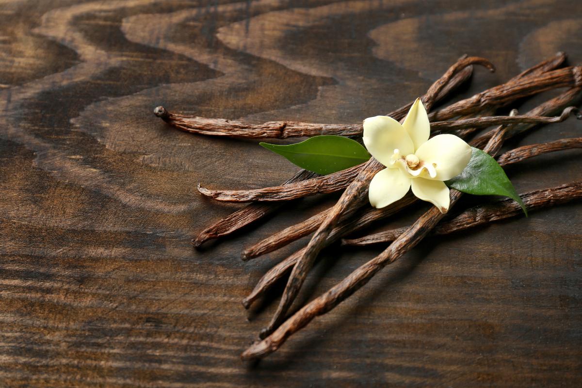 Orquídea de vainilla, clave de donde sale la vainilla.