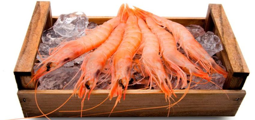 Detalle nutritivo de gambas cocidas, propiedades.